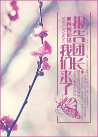 报告团肠,我们来了