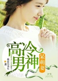 《高冷男神呆萌妻/先生,你上頭條啦》