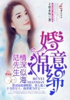 《婚意绵绵,陆先生情深似海》