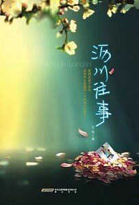 沥川往事（出书版）
