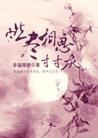 燃盡相思寸寸灰