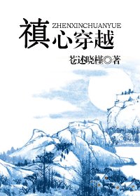《禛心穿越》