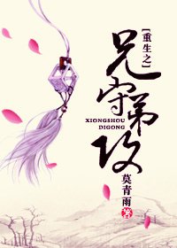 《重生之兄守第攻 》