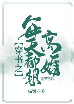穿書之每天都想離婚