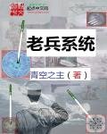 《老兵系統》