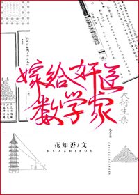 《嫁給奸臣數學家》