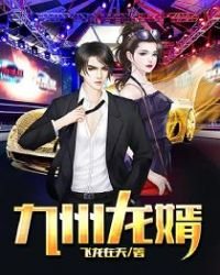 《九州龙婿》