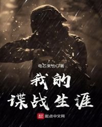 《我的谍战生涯》