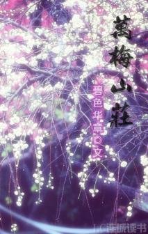 萬梅山莊