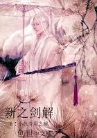 《新之剑解》