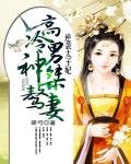 《逆襲太子妃:高冷男神桀驁妻》