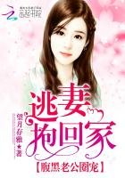 《腹黑老公圈宠:逃妻抱回家》