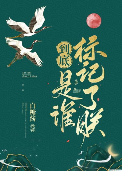 《到底是谁标记了朕》