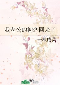 《我老公的初戀回來了》