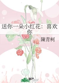 送你一朵小红花：喜欢你
