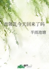 《(文野同人)首領亂今天回來了嗎》