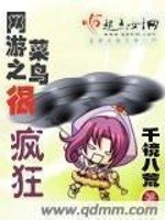 《网游之菜鸟很疯狂》