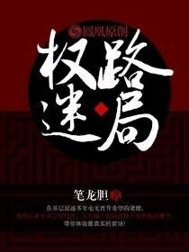 《官场局中局》