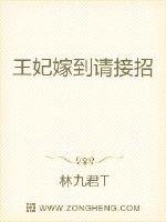 《王妃嫁到請接招》