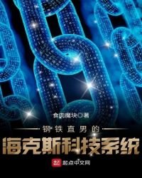 《鋼鐵直男的海克斯科技系統》