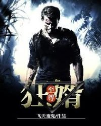 《至尊狂婿》