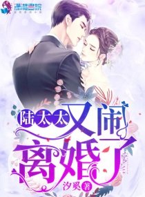 《陆太太又闹离婚了》