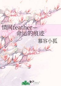 《情网feather—命运的痕迹》