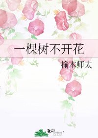 《一棵樹不開花》