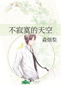 《不寂寞的天空》