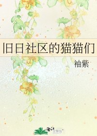 《旧日社区的猫猫们》