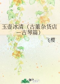 《玉壺冰清(古董雜貨店-古琴篇)》