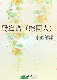 《鸳鸯谱(综同人)》