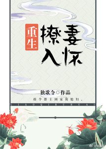 《撩妻入懷(重生)》