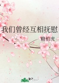 《我们曾经互相抚慰》