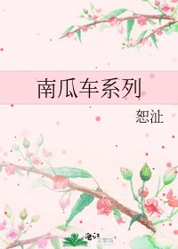 《南瓜车系列》