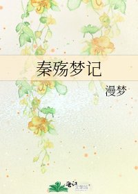 《秦殇梦记》