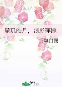 《璇玑皓月,浪影萍踪》