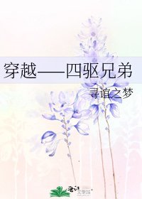《穿越——四驱兄弟》
