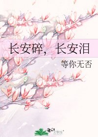 《長安碎,長安淚》