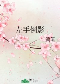 《左手倒影》