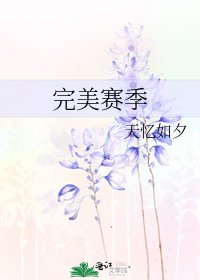《完美賽季》