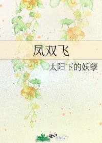 《鳳雙飛》