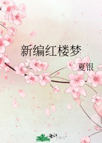 《新编红楼梦》