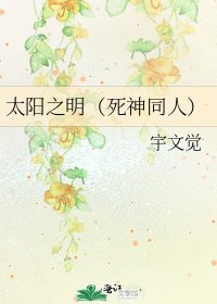 《太陽之明(死神同人)》