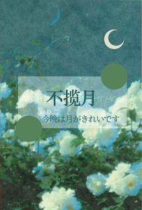 《揽月》