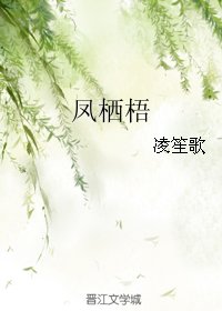 凤栖梧