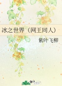 《冰之世界(网王同人)》