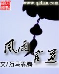 《風雨官道》