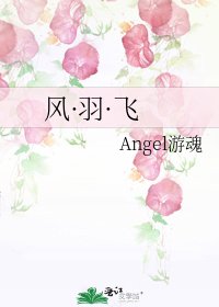 《風·羽·飛》