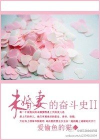 《未婚妻的奋斗史Ⅱ》